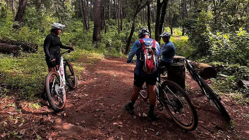 Bosque de la Herradura - Cuernavaca